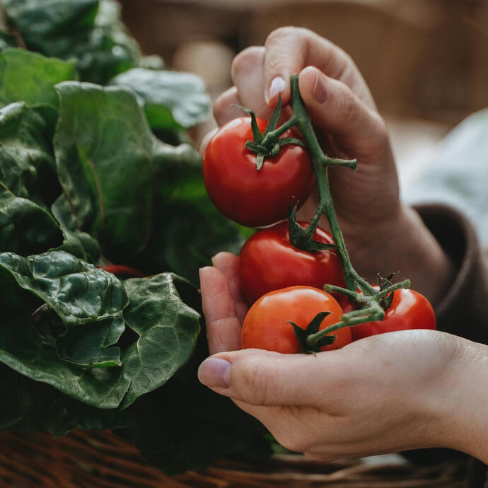 Frische Tomaten pexels-alesiakozik-7341975